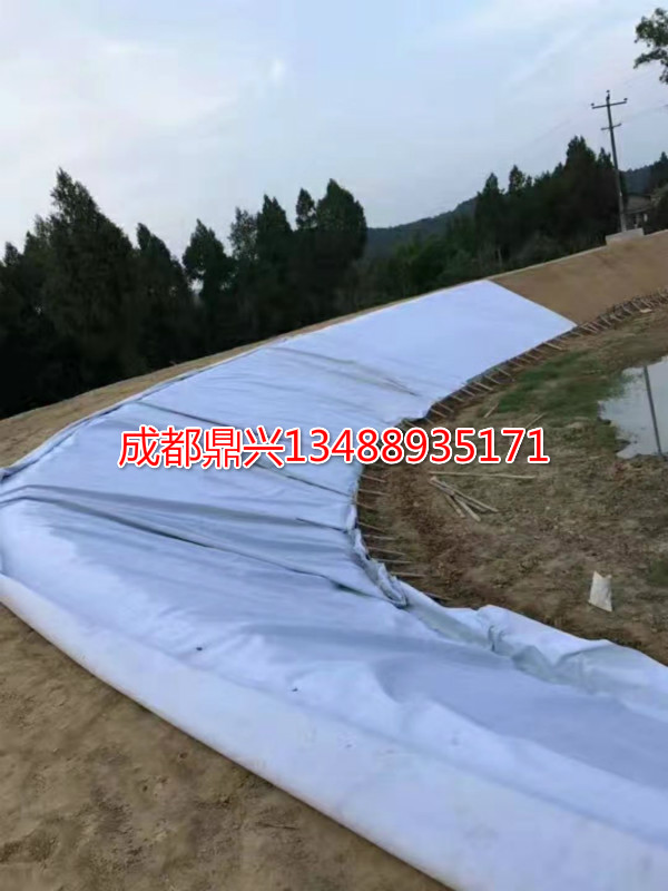 復(fù)合土工膜