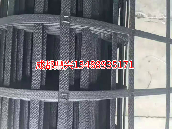 塑料土工格柵 塑料土工格柵